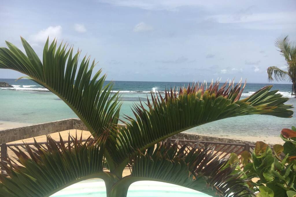 Superbe studio supérieur neuf avec balcon Saint-Francois (Grande-Terre) Exterior foto